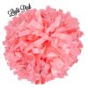 Cheer Fantastic 6" Pink Solid Plastic Pom
